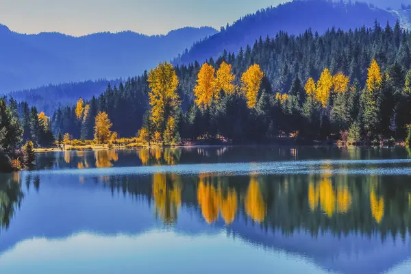 Blue Water Yellow Trees Reflection Gold Lake Autumn Fall Snoqualme Pass Wenatchee National Forest Wilderness Washington