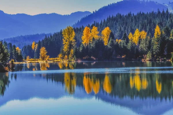Blue Water Yellow Trees Riflessione Gold Lake Autunno Autunno Passo Foto Stock Royalty Free