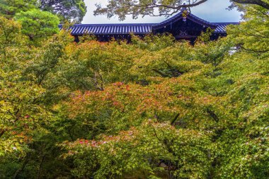 Coloful Platformu Yürüyen Sarı Sonbahar Yeşil Tofuku-ji Zen Budist Tapınağı Kyoto Japonya 'dan ayrılıyor. 1236 yılına ait. Tapınaktaki Tsutenkyo Köprüsü 'nün ünlü manzarası.
