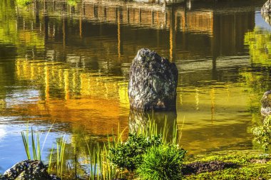 Coloful Su Yansıtma Bahçesi Kinkaku-Ji Rokuon-Ji Altın Pavyon Zen Budist Tapınağı Parkı Kyoto Japonya. 1397 Dünya Mirası Alanına Ait.