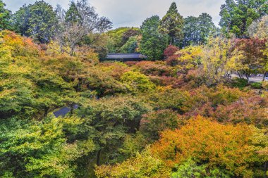 Coloful Platformu Yürüyen Sarı Sonbahar Yeşil Tofuku-ji Zen Budist Tapınağı Kyoto Japonya 'dan ayrılıyor. 1236 yılına ait. Tapınaktaki Tsutenkyo Köprüsü 'nün ünlü manzarası.