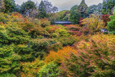Coloful Platformu Yürüyen Sarı Sonbahar Yeşil Tofuku-ji Zen Budist Tapınağı Kyoto Japonya 'dan ayrılıyor. 1236 yılına ait. Tapınaktaki Tsutenkyo Köprüsü 'nün ünlü manzarası.