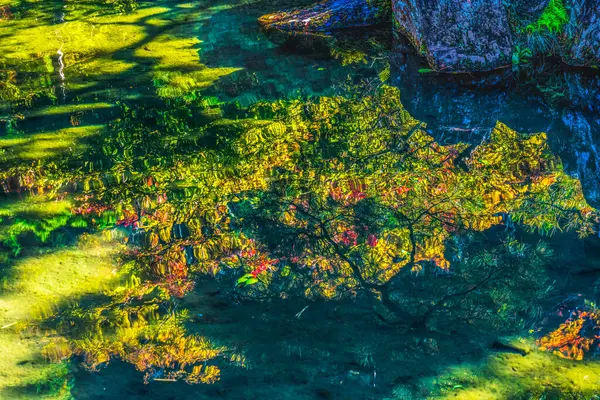 Renkli Sonbahar Bahçe Yansıması Ginkakuji Gümüş Pavyonu Zen Budist Tapınağı Parkı Kyoto Japonya 'dan ayrılıyor. Jishoji Parlayan Merhamet Tapınağı olarak da bilinir. 1460 yılında Ashikaga Yoshimasa tarafından inşa edildi..