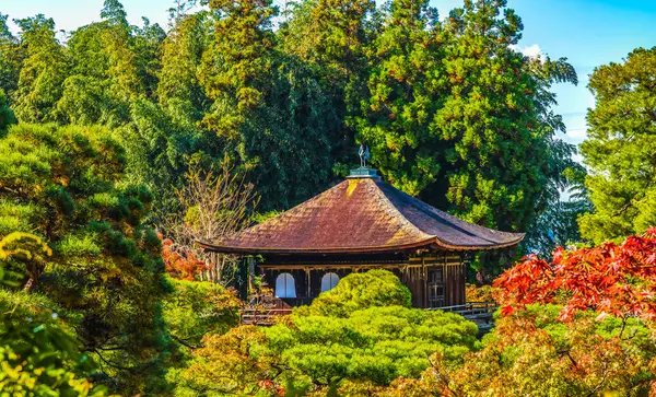 Renkli Falll Kannon Hall Ginkakuji Gümüş Pavyonu Zen Budist Tapınak Parkı C\ Kyoto Japonya 'dan ayrılıyor. 1460 yılında Ashikaga Yoshimasa tarafından inşa edildi..