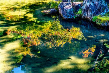 Renkli Sonbahar Bahçe Yansıması Ginkakuji Gümüş Pavyonu Zen Budist Tapınağı Parkı Kyoto Japonya 'dan ayrılıyor. Jishoji Parlayan Merhamet Tapınağı olarak da bilinir. 1460 yılında Ashikaga Yoshimasa tarafından inşa edildi..