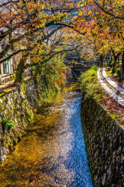 Coloful Fall Yeşil Filozof Yürüyüş Kanalı Kyoto Japonya 'dan ayrılıyor. Ünlü tapınakların yanından geç. 1890 'da Japon filozoflar burada yürüdüğü için yaratıldı..