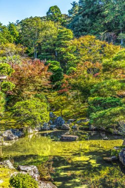 Renkli Sonbahar Bahçe Yansıması Ginkakuji Gümüş Pavyonu Zen Budist Tapınağı Parkı Kyoto Japonya 'dan ayrılıyor. Jishoji Parlayan Merhamet Tapınağı olarak da bilinir. 1460 yılında Ashikaga Yoshimasa tarafından inşa edildi..