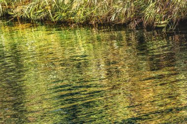 Ürdün Nehri Yardenit vaftiz Site yeşil su yansıma soyut İsrail. Ünlü site nerede allgedly İsa'nın Vaftizci Yahya tarafından vaftiz edildi
