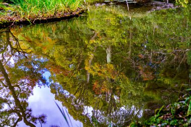 Renkli Doğu Gölü Su Yansıması Soyut Bahçe Soyut Shinto Tapınağı Kyoto Japonya. 1895 'te inşa edilmiş 1100' ler İmparatorluk Sarayı 'nın kopyası..