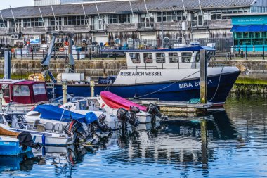 Plymouth, İngiltere - 11 Haziran 2024 Renkli Akvaryum Akvaryumu Piers Marina Sutton Limanı Plymouth Devon İngiltere.  