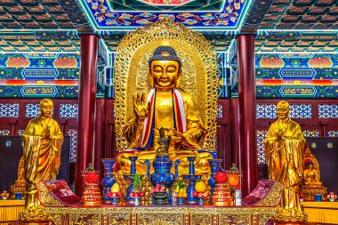 Tianjin, Çin - 8 Ekim 2024 Renkli Altın Buda Salonu Heykeli Büyük Şefkat Tapınağı Altar Daibei Yuan Çin. 1600 'lerde inşa edilmiş, Tianjin' deki en eski Budist Tapınağı..