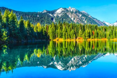  Gold Lake Pond Yansıması Karlı Dağ Zirvesi Snoqualme Geçidi Wenatchee Ulusal Ormanı Washington