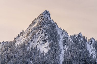 Kar McClellan Butte Dağı Tepesi Snoqualme Geçidi Washington 'u kapladı. McCkellan Butte 1.70 boyunda..
