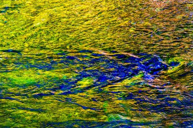 Renkli Sarı Güney Çatallı Snoqualme Nehri Soyut Snoqualme Vadisi Yolu Kuzey Virajı Washingto