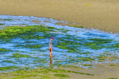 Yazı Keşfeden Çocuk Dalgalar Dümdüz Deniz Duvarı Park Yat Puget Sound Langley Washington