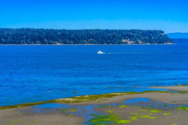 Yat Alçak Akıntı Düz Deniz Duvarı Park Yat Puget Ses Langley Washington
