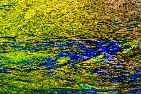 Renkli Sarı Güney Çatallı Snoqualme Nehri Soyut Snoqualme Vadisi Yolu Kuzey Virajı Washingto