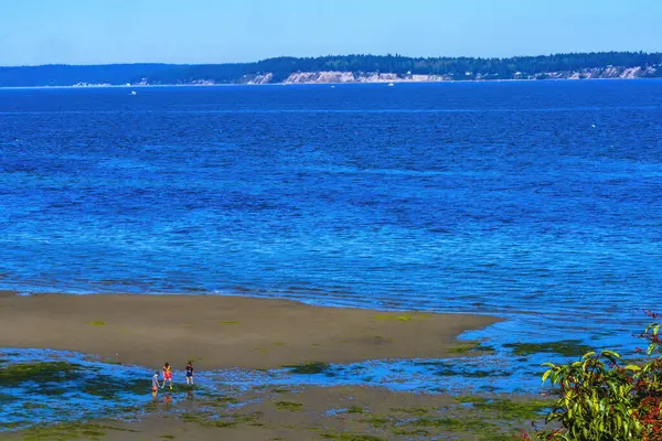 Düşük Gelgit Dümdüz Deniz Duvarı Park Yat Puget Sound Langley Washington 'u Keşfeden Çocuklar
