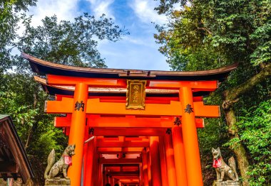 Renkli Tilki Heykeli Red Tori Gates Turistler Yürüyen Fushimi Inari Shinto Tapınağı Kyoto Japonya. Inari Shinto Pirinç Tanrısı 'nın tapınağı. Inari 'nin Messenrers' ı tilkidir. 1871 'den 1946' ya kadar inşa edilmiş bir tapınak. Plaketteki Çin karakterlerine göre Doğa Tanrısı Rice.