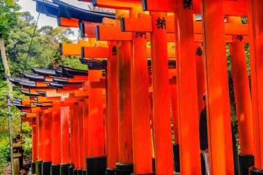 Renkli Red Row Tori Gates Fushimi Inari Shinto Shinto Shrine Kyoto Japonya. Tanrı Inari 'nin tapınağında 10,000 kapı var. Japonca Karakter Vermek Saygı Göstermektir. 1871 'den 1946' ya kadar yapılmış.. 