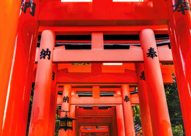 Renkli Kırmızı Tori Gates Feneri Fushimi Inari Shinto Kyoto Tapınağı Japonya. Inari Shinto Pirinç Tanrısı 'nın tapınağı. 1871 'den 1946' ya kadar yapılmış bir tapınak. Çin Kapılarındaki Karakterler Saygı Verdiğini Söylüyor.