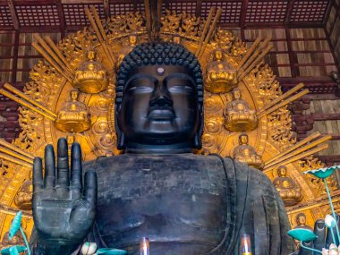 Nara, Japonya - 4 Kasım 2023 Büyük Bronz Buda Daibutsu Heykeli Altın Küçük Buda Salonu Büyük Buda Salonu Todaiji Budist Tapınağı Nara Japonya. MS 752 tarihli Tapınak Tarihi UNESCO Dünya Mirası Sitesi.