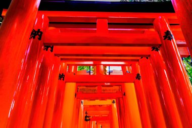 Renkli Kırmızı Tori Gates Feneri Fushimi Inari Shinto Kyoto Tapınağı Japonya. Inari Shinto Pirinç Tanrısı 'nın tapınağı. 1871 'den 1946' ya kadar yapılmış bir tapınak. Çin Kapılarındaki Karakterler Saygı Verdiğini Söylüyor.