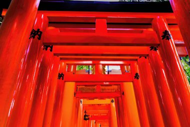Renkli Kırmızı Tori Gates Feneri Fushimi Inari Shinto Kyoto Tapınağı Japonya. Inari Shinto Pirinç Tanrısı 'nın tapınağı. 1871 'den 1946' ya kadar yapılmış bir tapınak. Çin Kapılarındaki Karakterler Saygı Verdiğini Söylüyor.