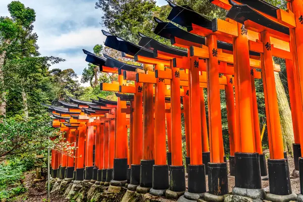 Renkli Red Row Tori Gates Fushimi Inari Shinto Shinto Shrine Kyoto Japonya. Tanrı Inari 'nin tapınağında 10,000 kapı var. Japonca Karakter Vermek Saygı Göstermektir. 1871 'den 1946' ya kadar yapılmış.. 
