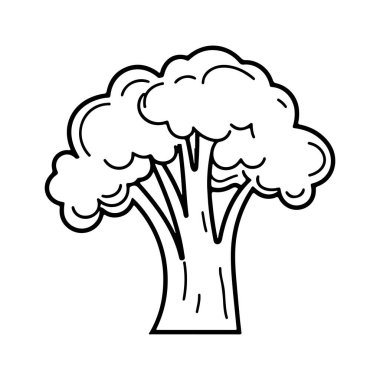 Taze Karnabahar 'ın ikonu. Sağlıklı yemek tasarımı elementi. Basit Özet Sebze Çizimi. Vektör illüstrasyonu