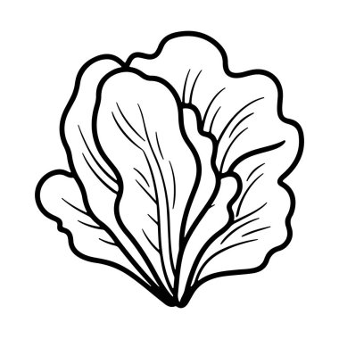 Taze salatanın ikonu. Sağlıklı yemek tasarımı elementi. Basit Özet Sebze Çizimi. Vektör illüstrasyonu