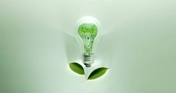Green Energy Concepts Wireless Light Bulb Green Leaf Sign Light — Stock Photo, Image