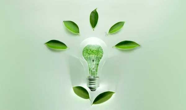 Πράσινες Έννοιες Ενέργειας Ασύρματος Λαμπτήρας Πράσινο Φύλλο Μορφή Σημάδι Των — Φωτογραφία Αρχείου