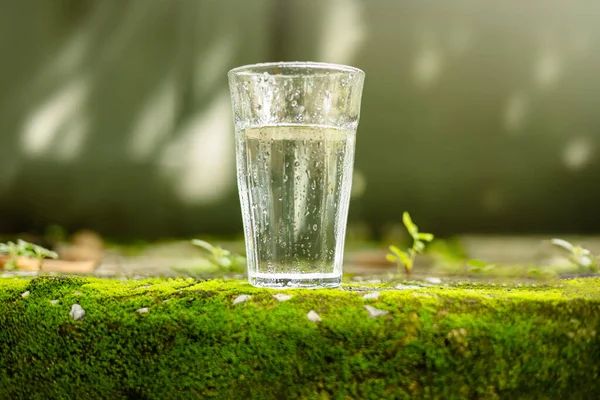 世界水日概念 水喝杯子 新鲜又冷 绿色苔藓和自然晨光环境优美 图库图片