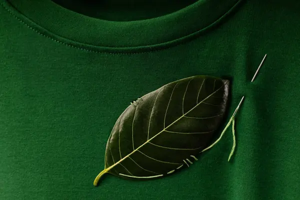 Esg和可持续生活方式 环境保护概念 在T恤衫上用针头缝制的绿叶的近端 有机布 免版税图库照片