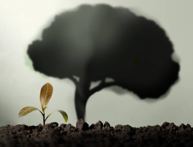 Topraktaki genç filiz, Düşün Büyük 'ü yansıtan, gölgeli, uzun, büyük bir ağaç. İyileşme, finansal büyüme, akıllı yatırım ve umut verici ekonomik görünüm