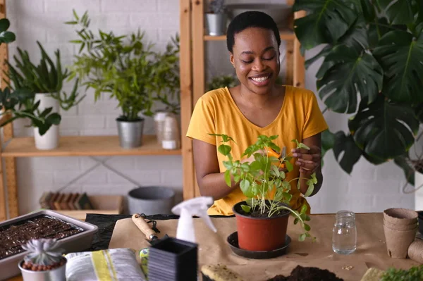 African American Woman Florist Taking Care Plants — Stock Photo, Image