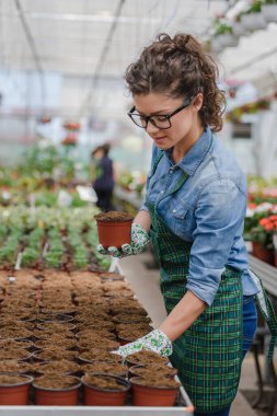 Çiçek bahçesinde çalışan genç bayan girişimci.