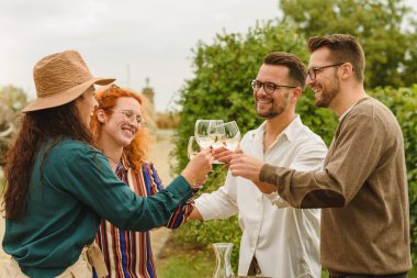 Üzüm bağında şarap içen mutlu arkadaşlar