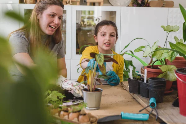 Mor Och Dotter Planterar Växter Tillsammans Hemma Trädgården Trädgårdsskötsel — Stockfoto