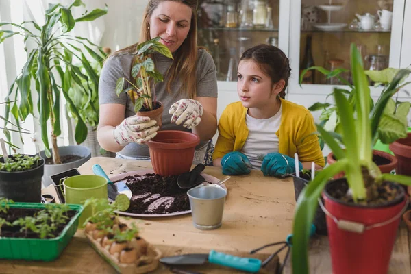 Anne Kızı Bahçesinde Birlikte Saksı Dikiyorlar Bahar Bahçıvanlığı — Stok fotoğraf