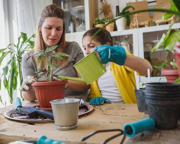 Mother Daughter Repotting Plants Together Home Garden Spring Gardening — Stock Photo, Image