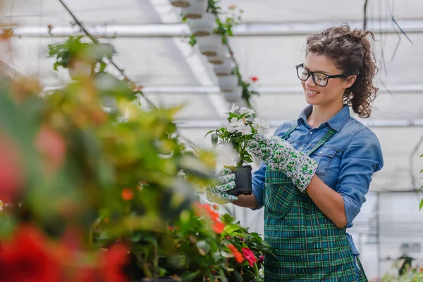 Young Woman Entrepreneur Working Flower Garden — Stock Photo, Image