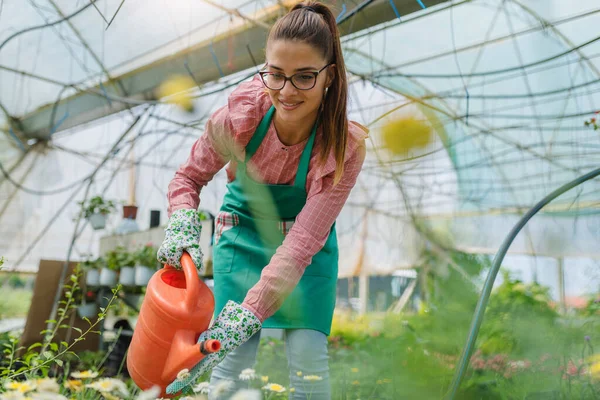 Woman Working Greenhouse Watering Flowers — Stock Photo, Image