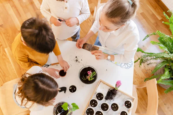 Lehrerin Pflanzt Blume Mit Kindern — Stockfoto