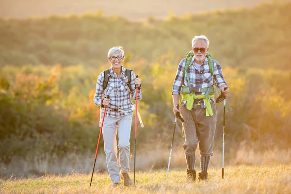 Seniorenpaar Wandert Den Bergen — Stockfoto