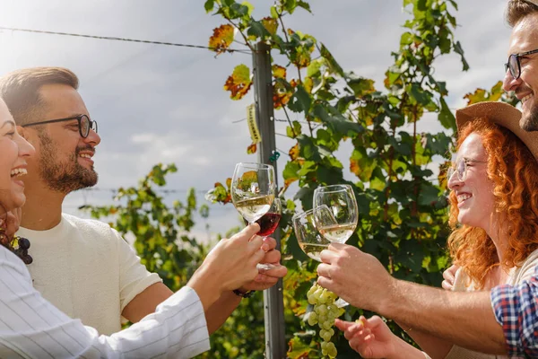 happy friends drinking wine at vineyard