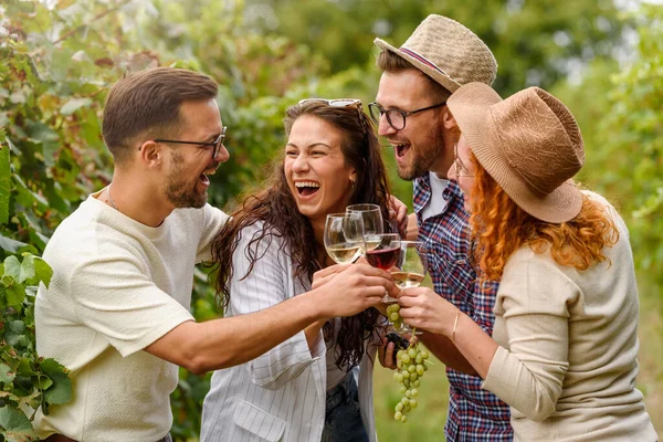 快乐的朋友在葡萄园喝酒 — 图库照片