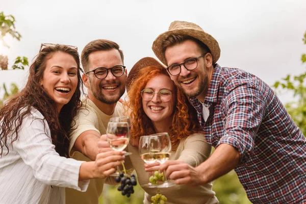Amigos Felizes Bebendo Vinho Vinha — Fotografia de Stock