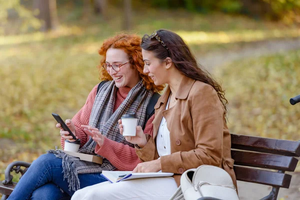 Γυναίκες Που Μιλάνε Και Χαμογελούν Ενώ Κάθονται Στο Πάρκο Και — Φωτογραφία Αρχείου